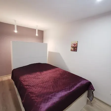 Apartmán Cosy 1,9km From Cathedral Square Vilnius